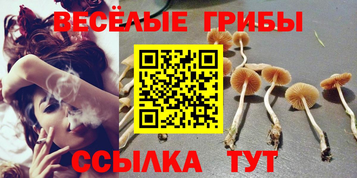 Псилоцибиновые грибы Magic Shrooms Дербент